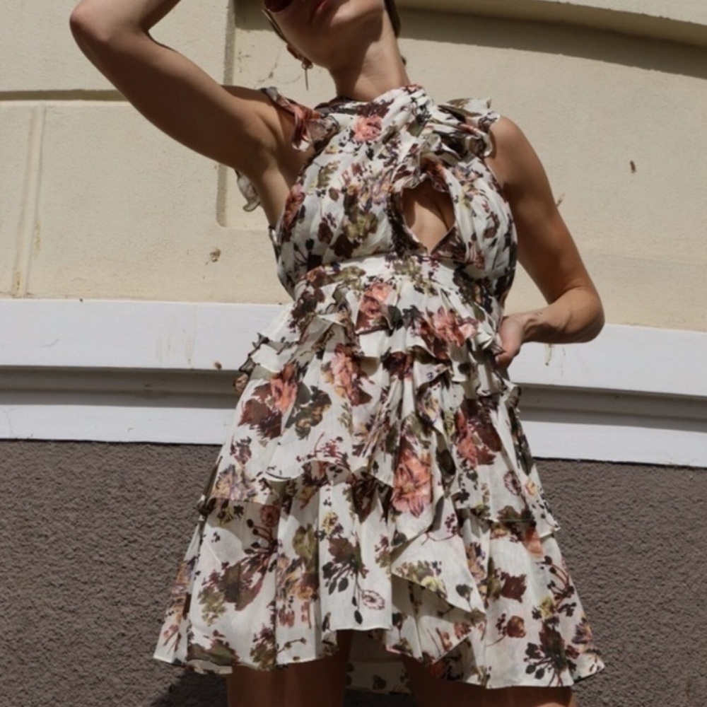 Ulla Johnson Sarafina Floral Organza Ruffled Mini Dress